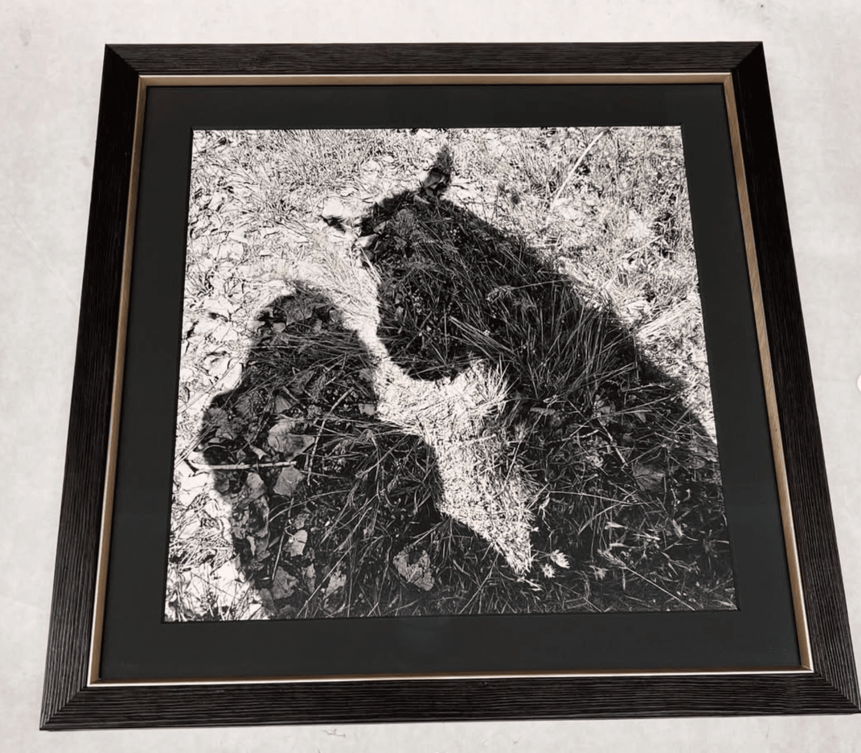 Custom Framing